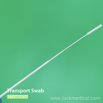 Plastic Bacterial Transportation Swab